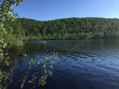 В озере под Мурманском нашли тело мужчины